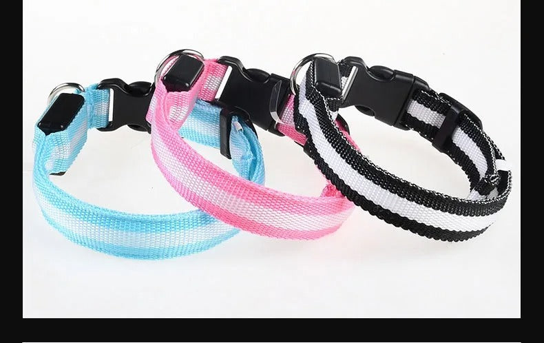 GlowGuard LED Dog Collar