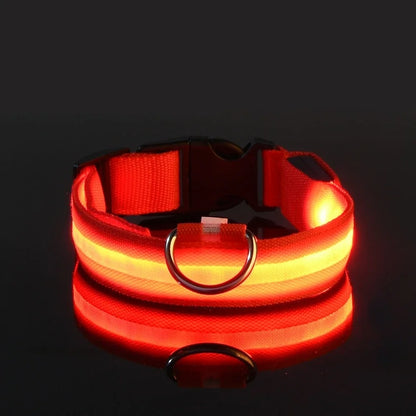 GlowGuard LED Dog Collar