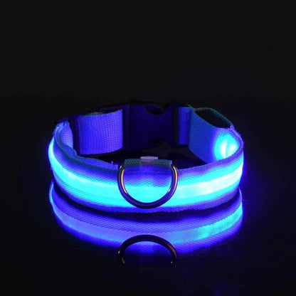 GlowGuard LED Dog Collar