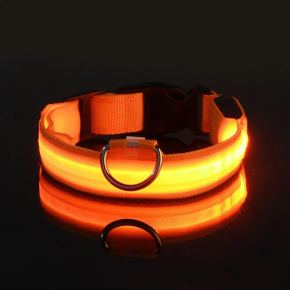 GlowGuard LED Dog Collar