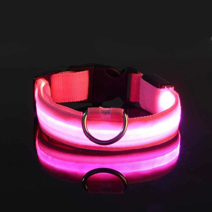 GlowGuard LED Dog Collar