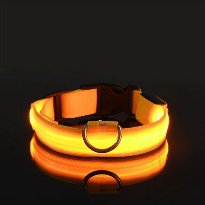 GlowGuard LED Dog Collar