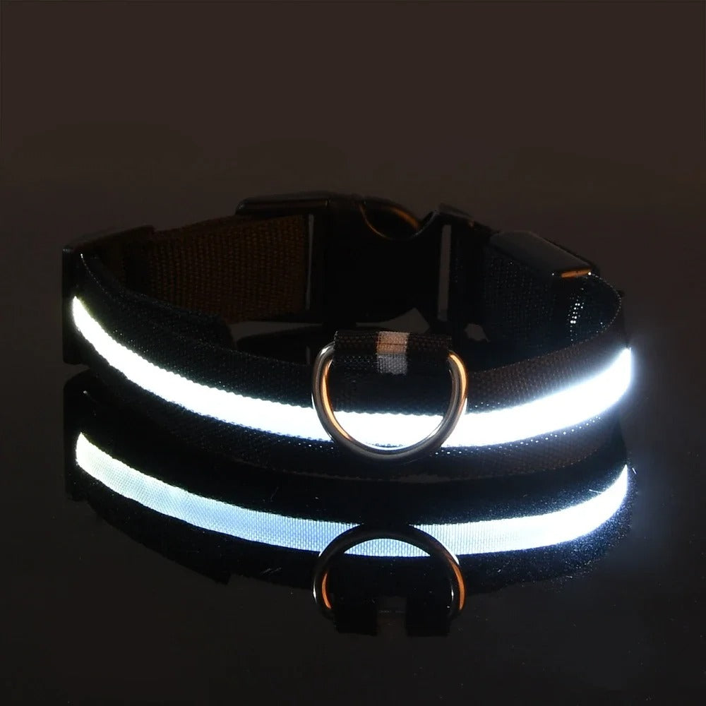 GlowGuard LED Dog Collar