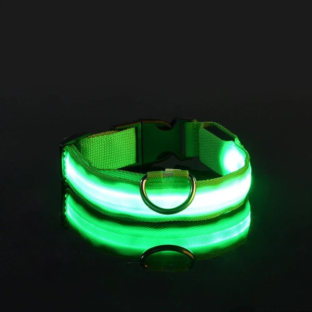 GlowGuard LED Dog Collar